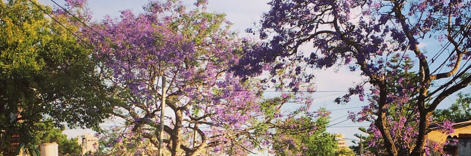 Cécile 🌻 banner