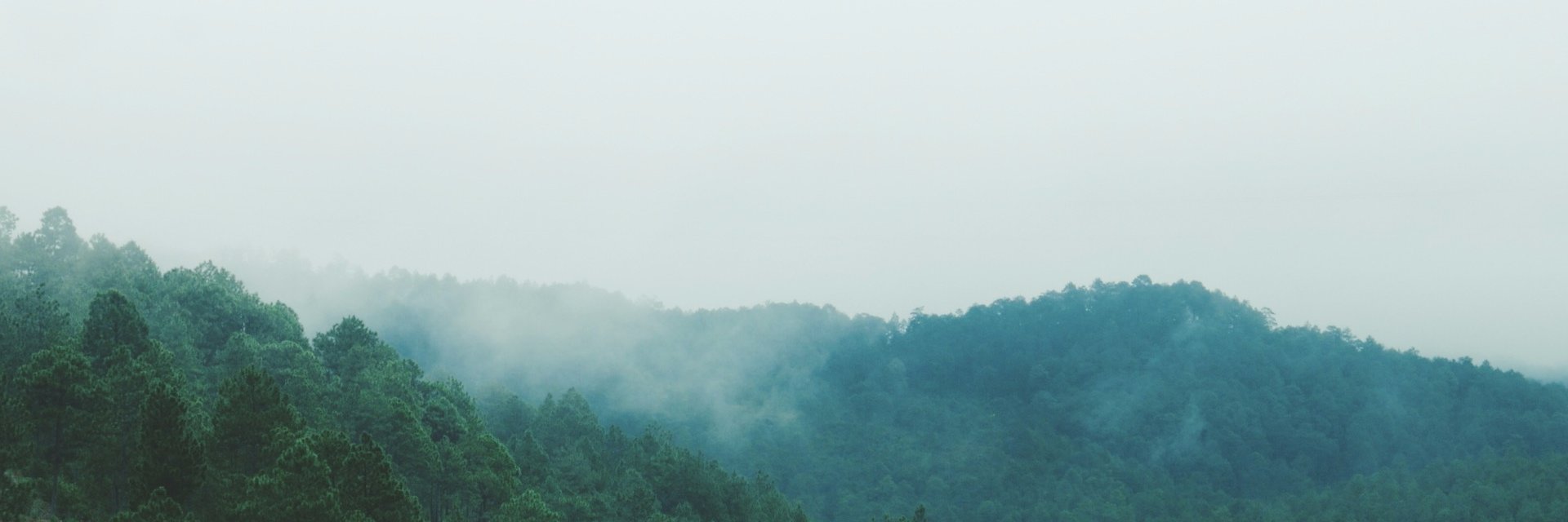 EmberFilmCo's profile banner image