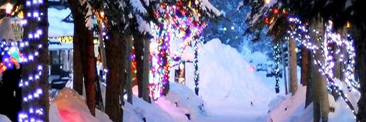 john millwood 🇬🇧🇧🇷🐺😎 banner