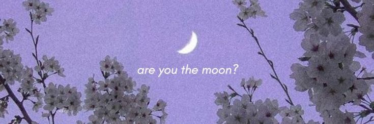 karlaa2405's profile banner image