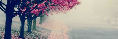 dothelocolotion's profile banner image