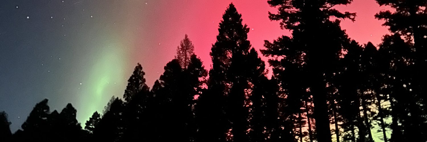 LCzech_Meowt's profile banner image