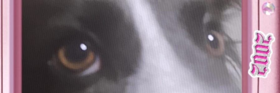 VictoriaSpizzo's profile banner image