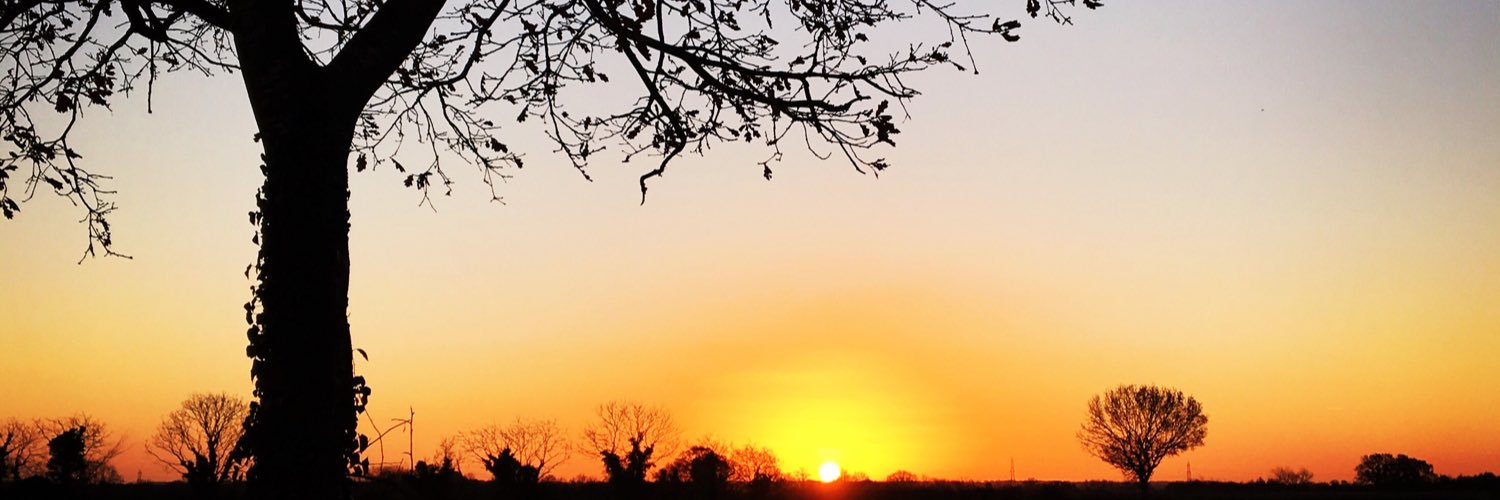 Charli banner