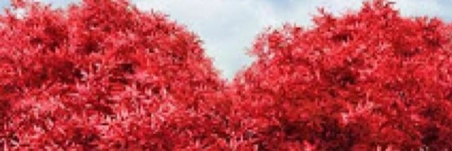 MaRiUs♥️💄 banner