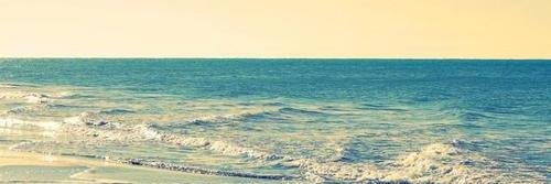 Zurifolio's profile banner image