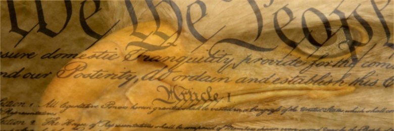 🇺🇲Rick Percoco🇺🇲 banner