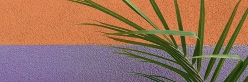 IlseRbedolla's profile banner image