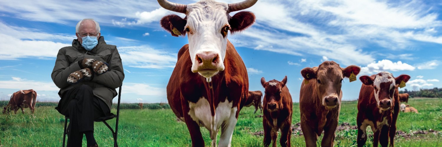 Eric Holmberg banner