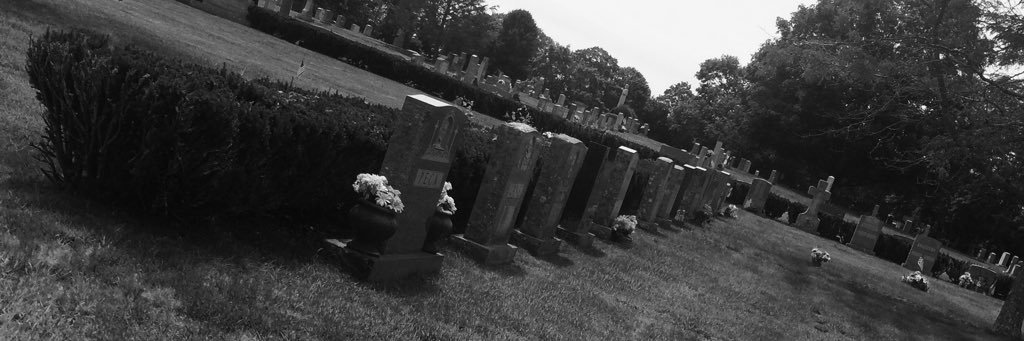 hannahbear_153's profile banner image