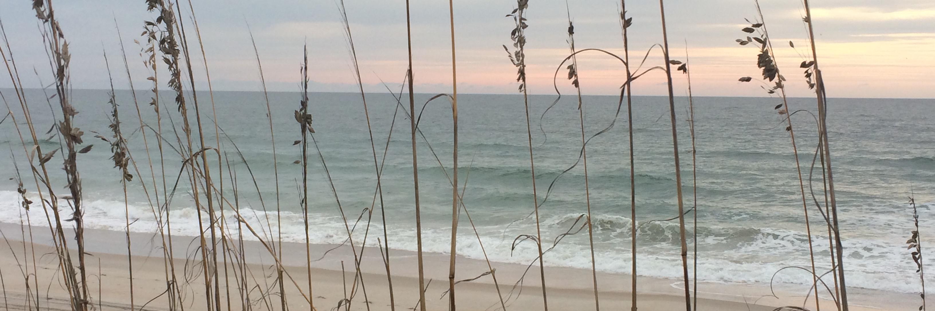 joyfulrenee's profile banner image