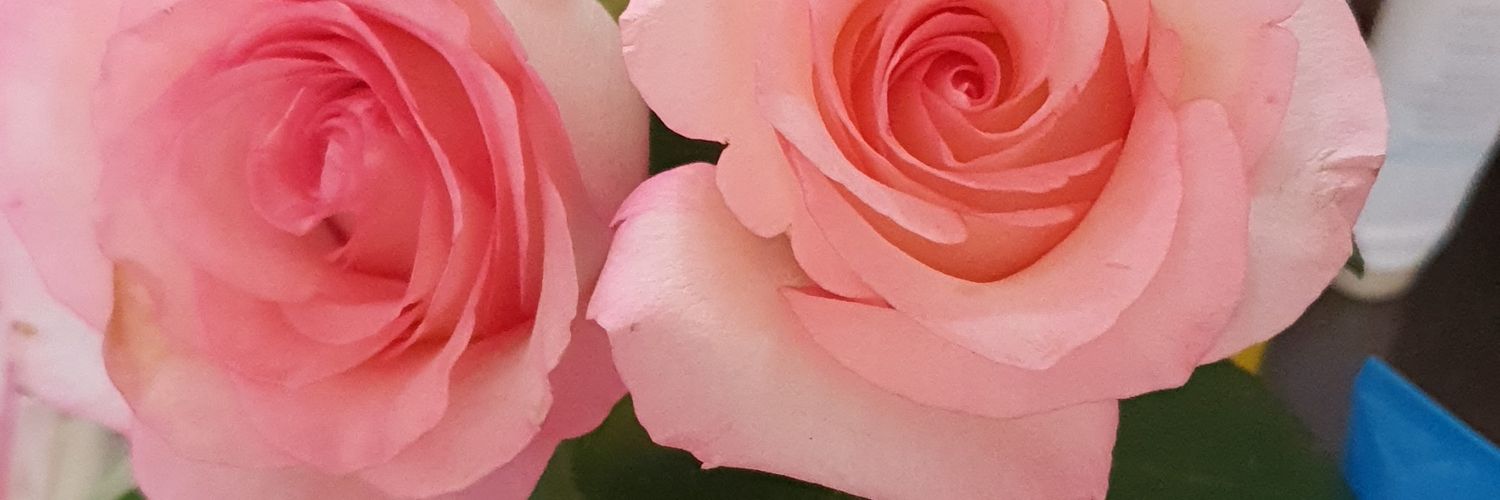 bella5608's profile banner image