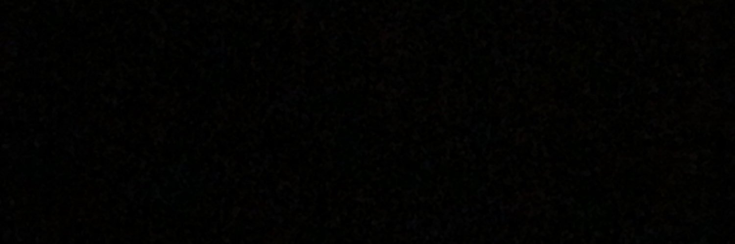 lpsiler's profile banner image