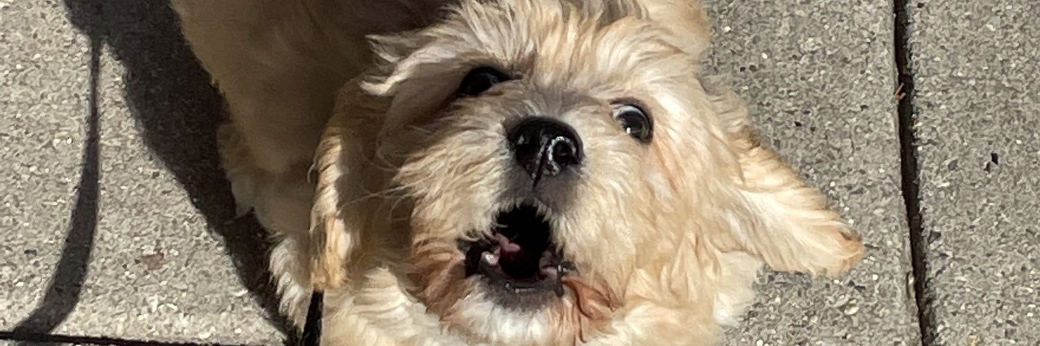 RickRoy_34's profile banner image