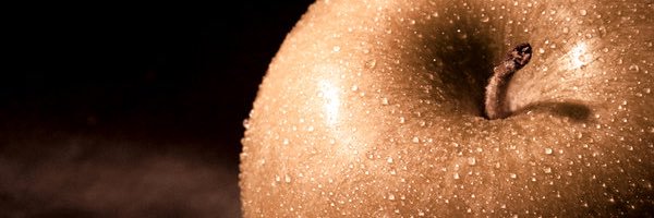 hoori__'s profile banner image