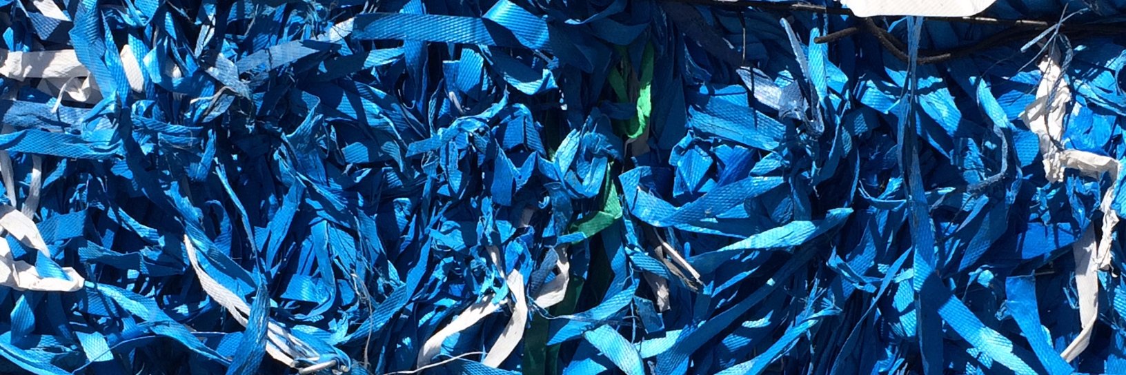 Dr Allison Lindner banner