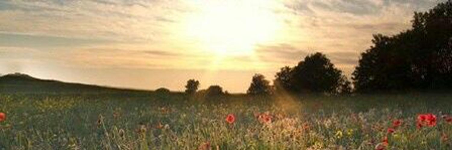 Sel_HdzP's profile banner image