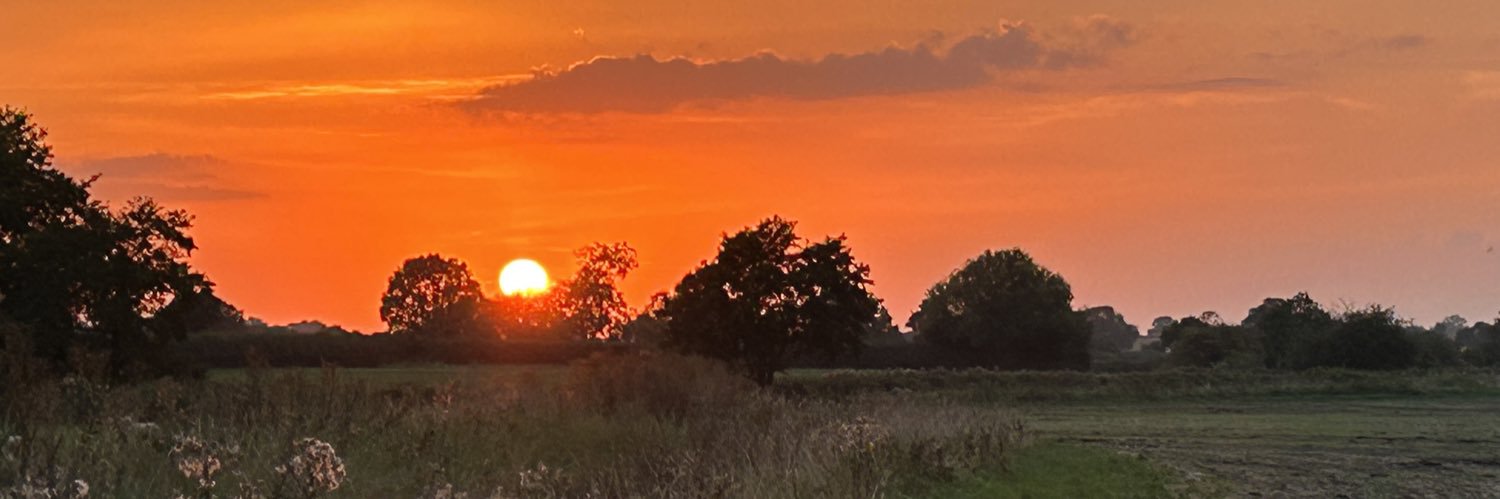 Julia Casperd banner