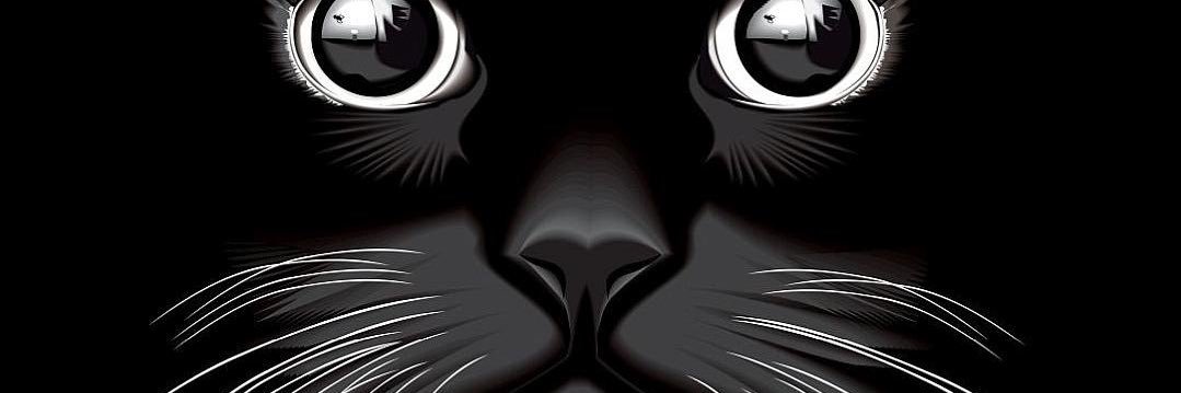 AntonioAndreoGo's profile banner image