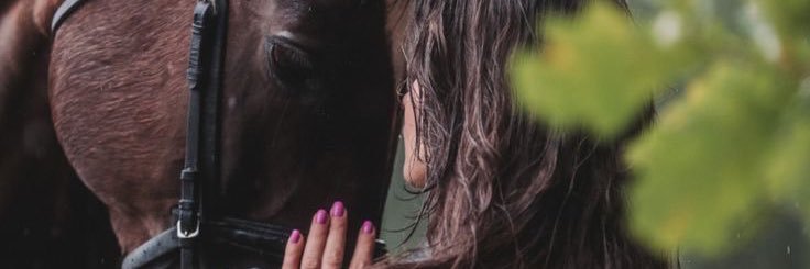 Sarah_Ali088's profile banner image