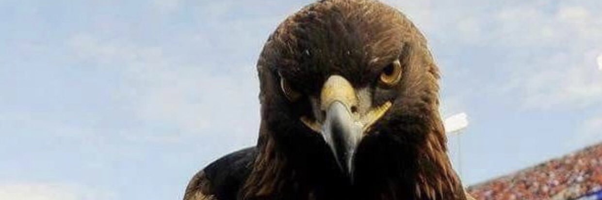 richie6742's profile banner image