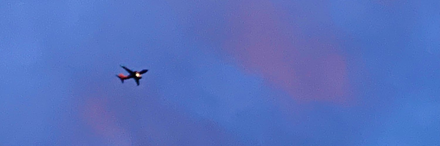 rueskerdo's profile banner image