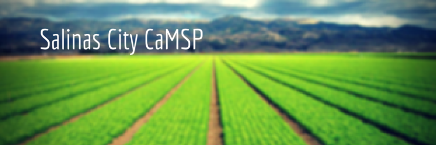 SalinasCaMSP's profile banner image