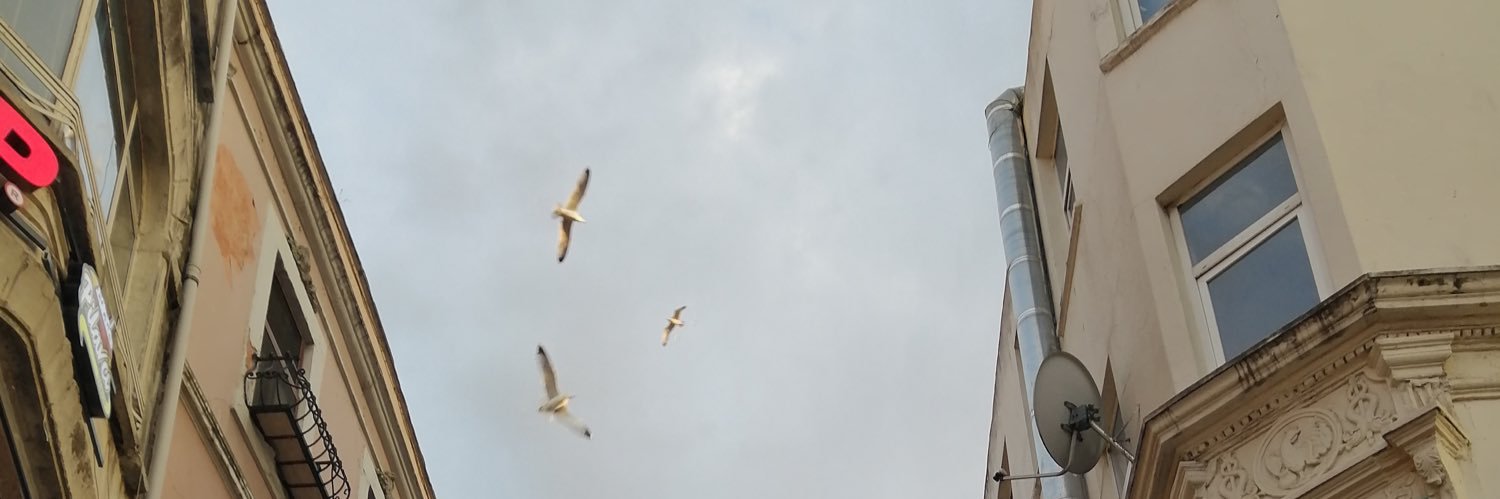 DilekComba's profile banner image