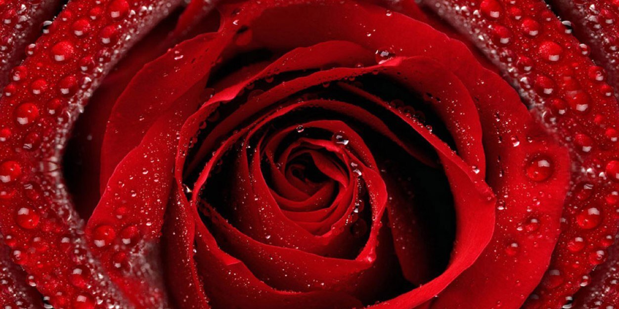 Ulipooh's profile banner image