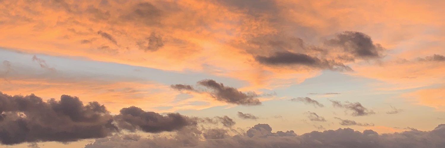 Karlabrionesp's profile banner image