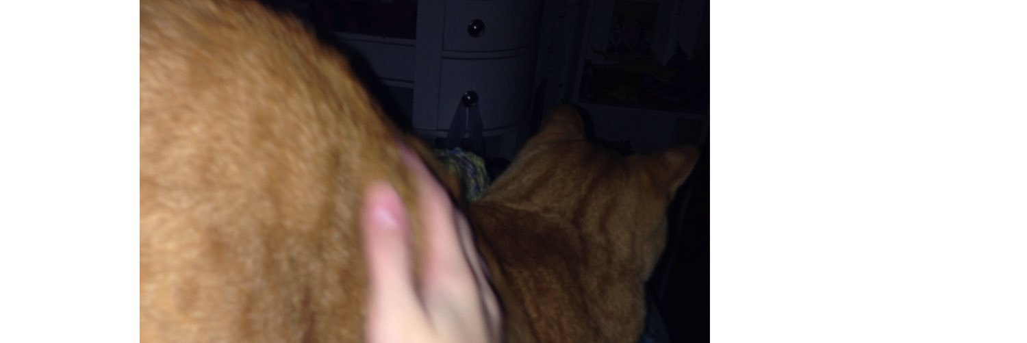 orangesherbertg's profile banner image