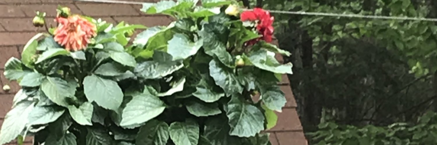 Barnes & Noble banner