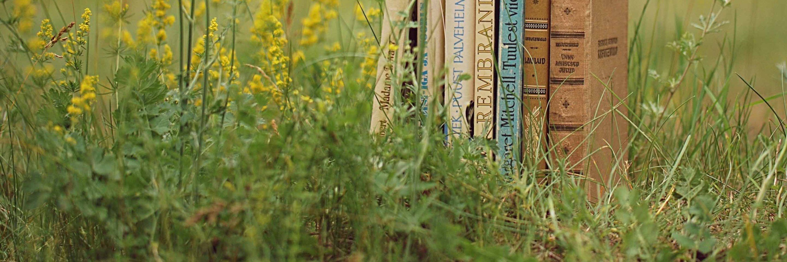 Hamidreff's profile banner image