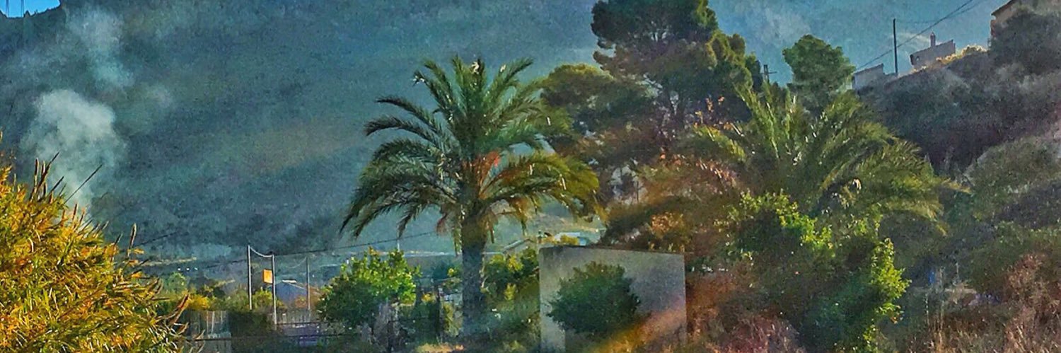 mselico's profile banner image