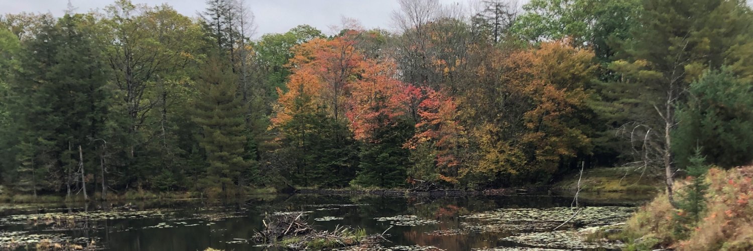 Loretta Notten banner