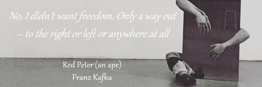 Pablo P. Castelló 🐾 banner