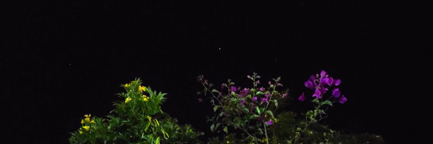 Mr. Bushido 👨🏻‍🎤 banner