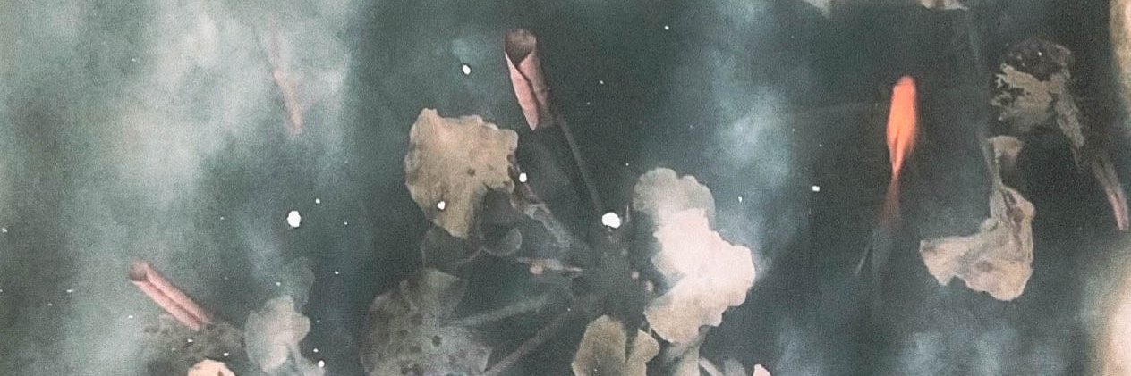 cinoptico's profile banner image