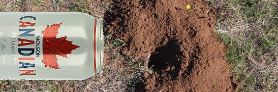 Regina Gopher banner