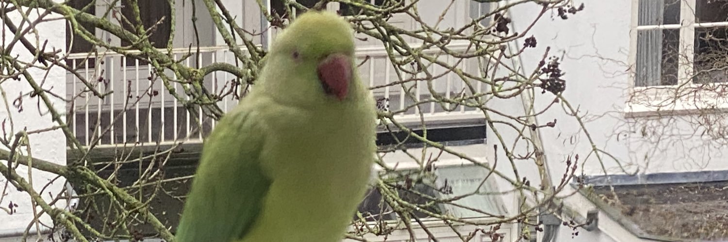 singingspend's profile banner image