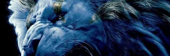 GriffyThaKid's profile banner image