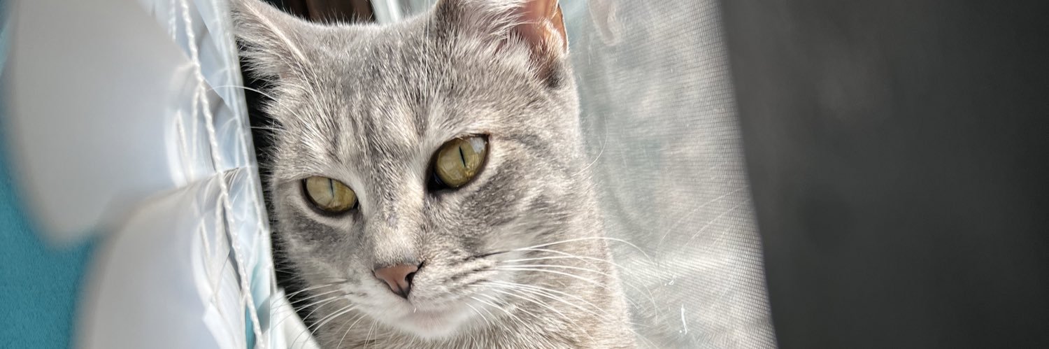 KissyFacey's profile banner image