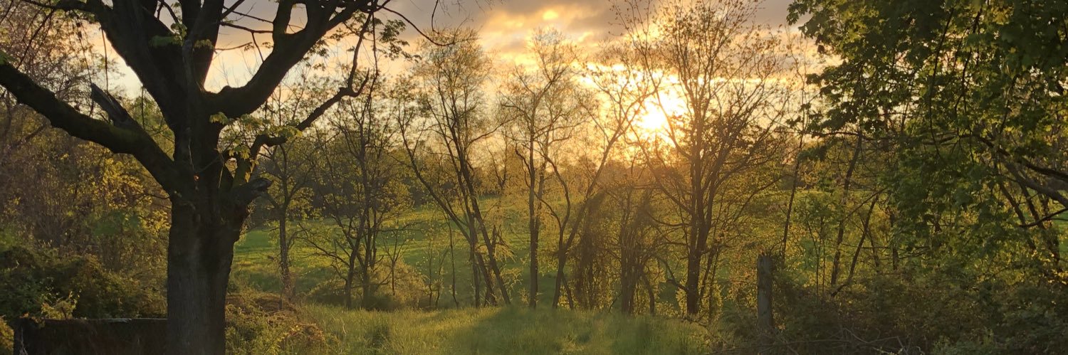 CJB524's profile banner image