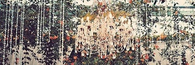 RileyElisha's profile banner image