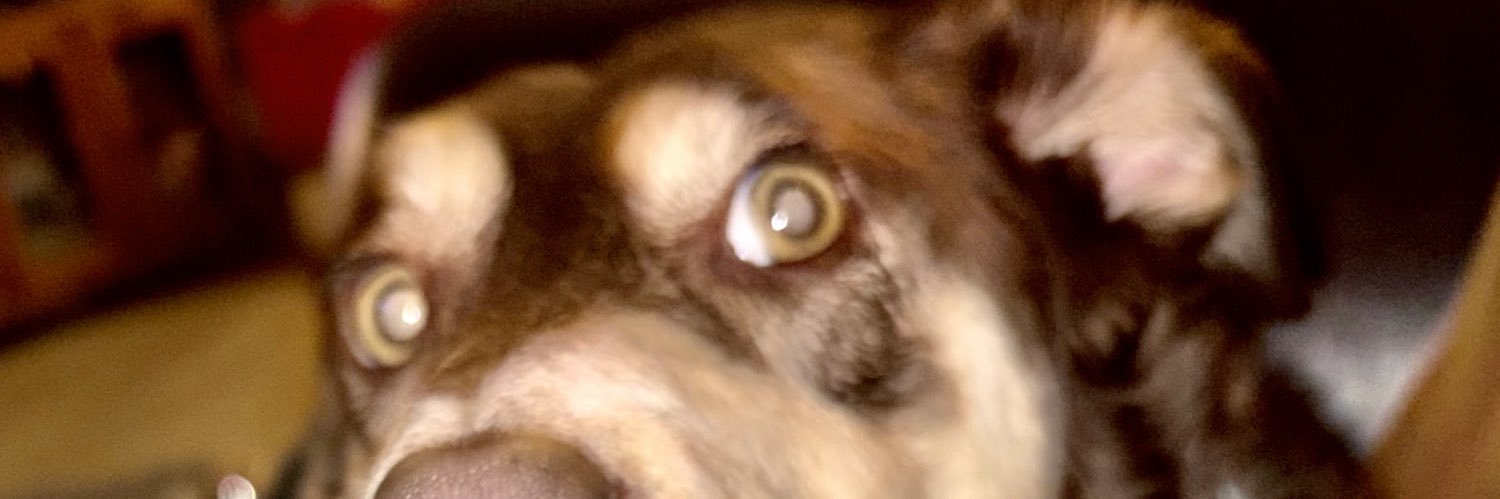D P banner