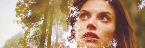 AustereScarlet's profile banner image