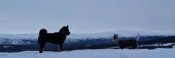 jeobrie Profile Banner