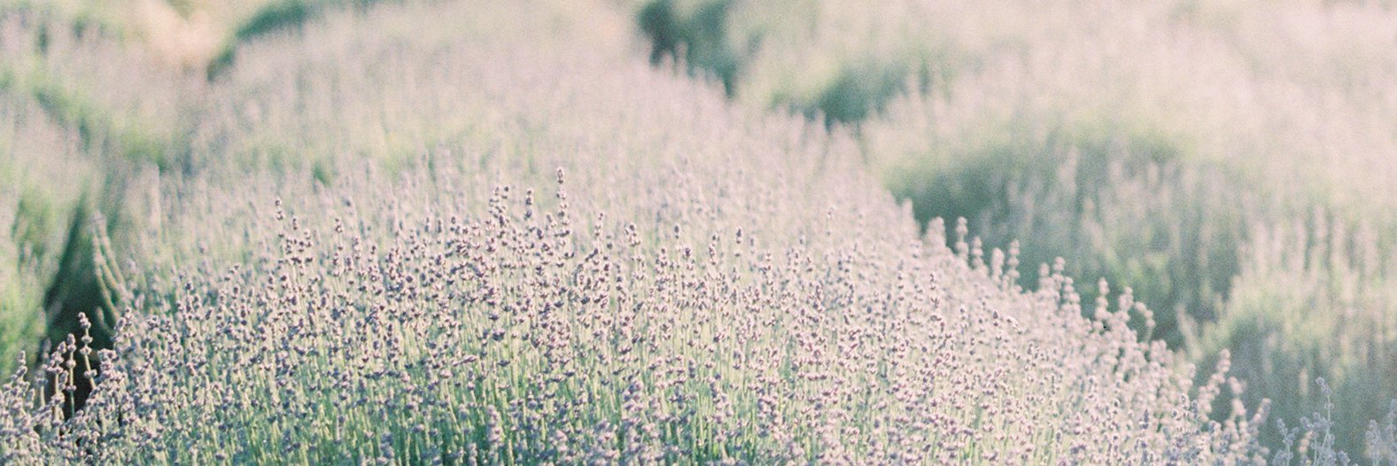 mallorydawn_'s profile banner image