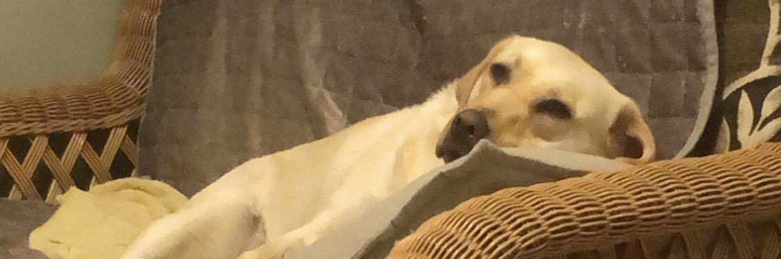 RiaHarding1's profile banner image