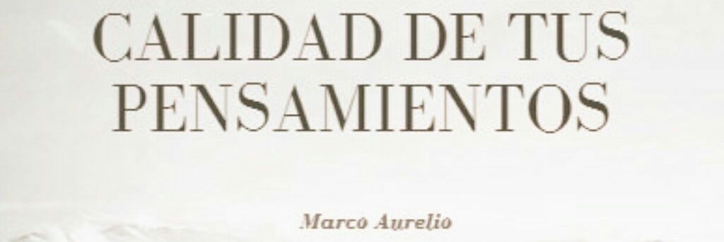 saavedra3518's profile banner image